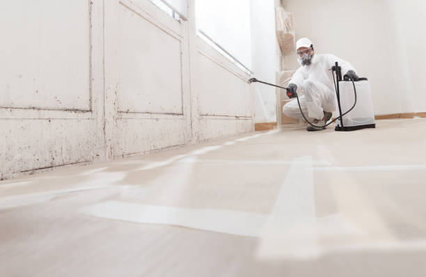 24/7 Emergency Mold Remediation experts in Spring City, PA